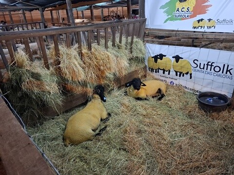 07b_EXPOFACIC (77).jpg