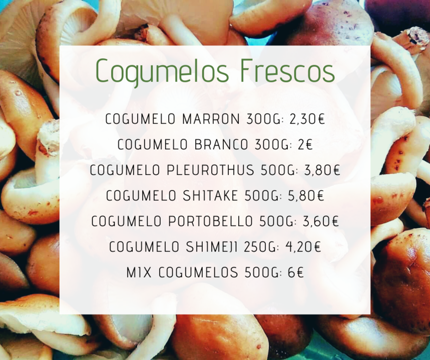 CogumelosFrescos19e20Jun.png CogumelosFrescos19e20Jun.png