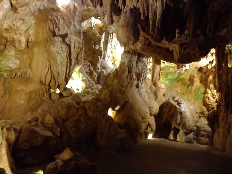 234786573_158237529777388_6512415493006818242_n.jp