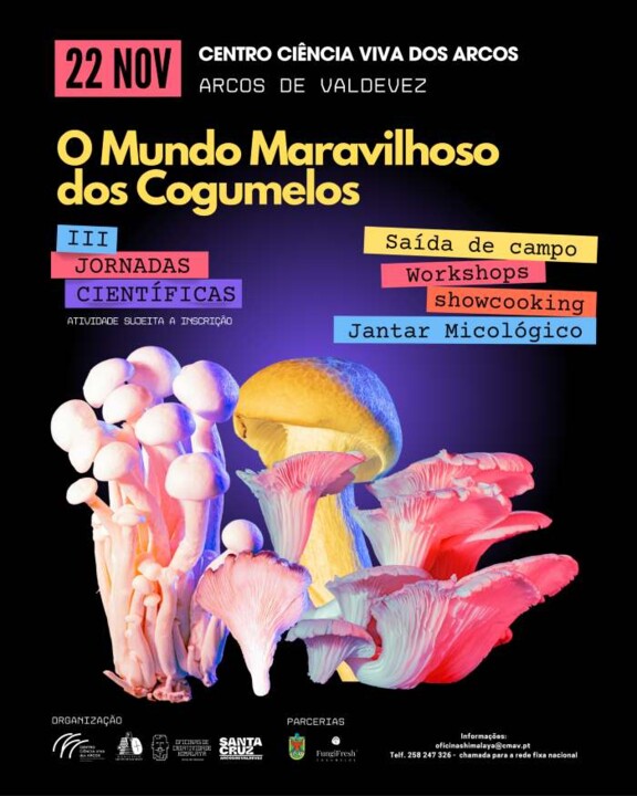 Instagram-III O Mundo Maravilhoso dos Cogumelos 1 