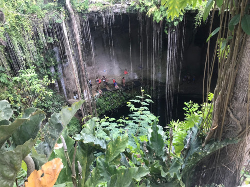 Nuno_Matos_Cabral_no_México.jpg Nuno_Matos_Cabral_no_México.jpg