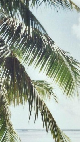 12832343_1139900049367901_7532425983772067833_n.jp