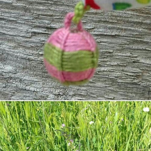 35082872_1918454144854209_5530308299599118336_n.jp