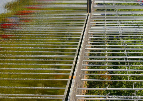 Capturar__ (2)_ (3)_tonemapped.jpg