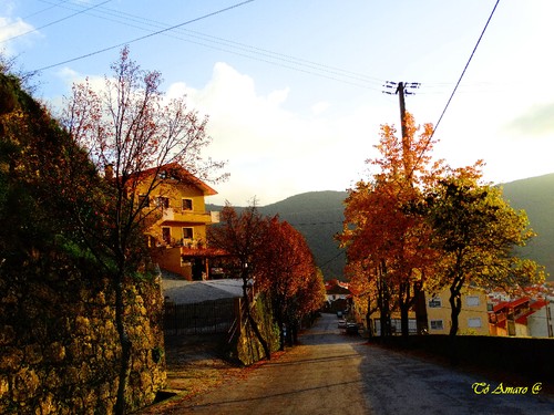 Fotos de Outono !!! 113.jpg