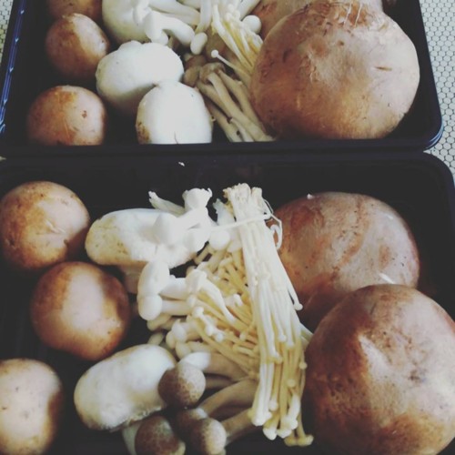 34596435_1108666555939771_8072077422909980672_n.jp