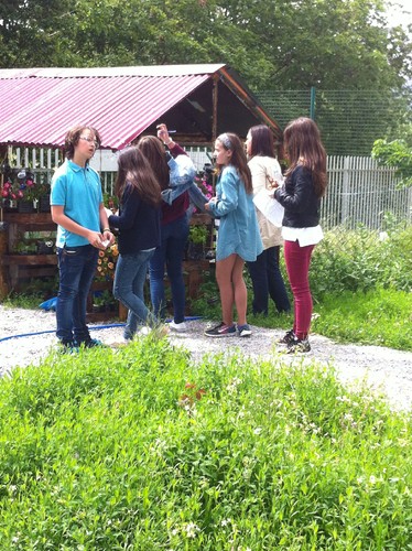 2016-05-24 15.55.28.jpg