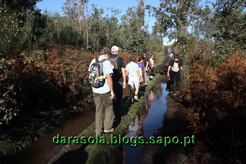 Trebilhadouro_05.JPG