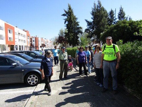 13147780_1133822596649392_6712213729402030297_o.jp