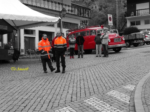 Feira do Queijo Em Seia !!! 197.jpg