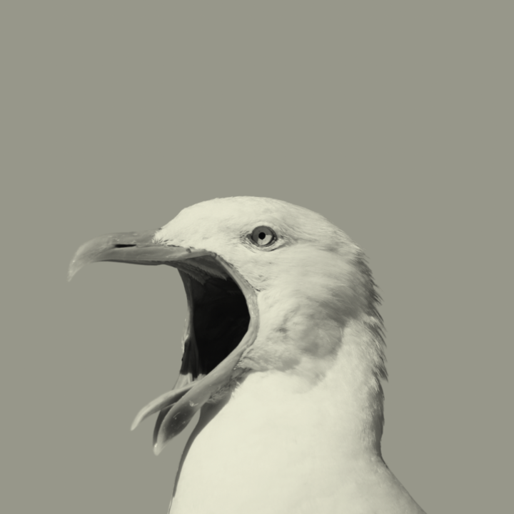 Black and White Bold Minimal Simple Modern Podcast