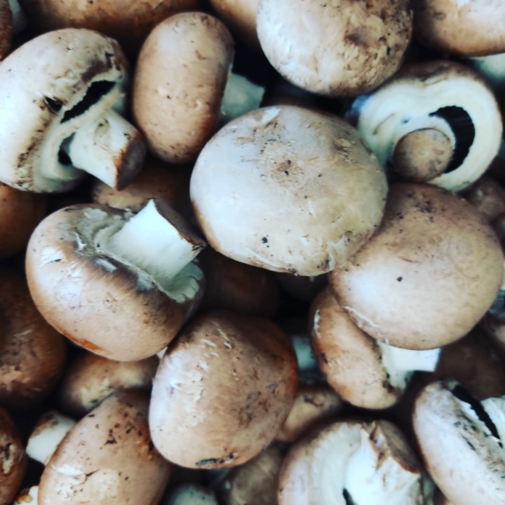 256642513_2165884356884647_2624656658077405630_n.j