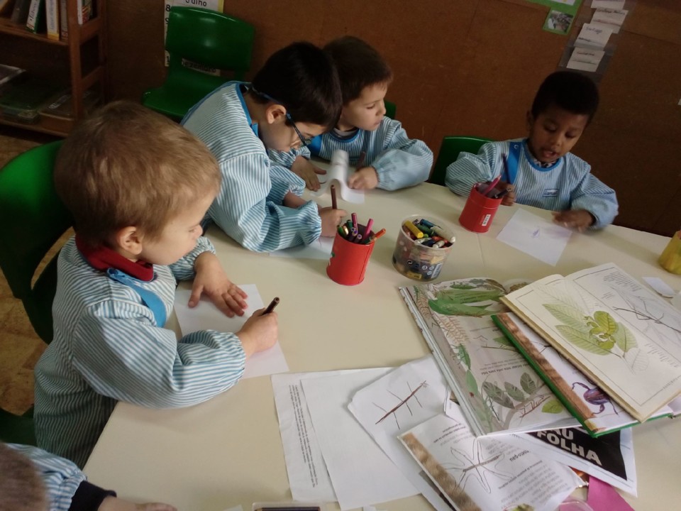 82196596_1010032652699431_7523875102987911168_n.jp