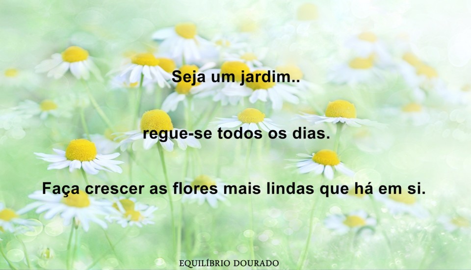 jardim maravilhoso.jpg