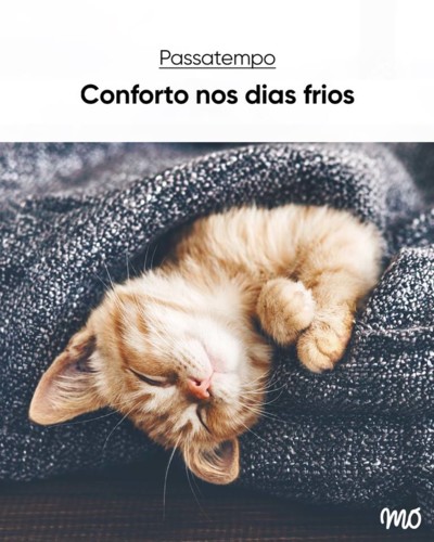 49937957_2287477744604097_4952507122362351616_n.jp