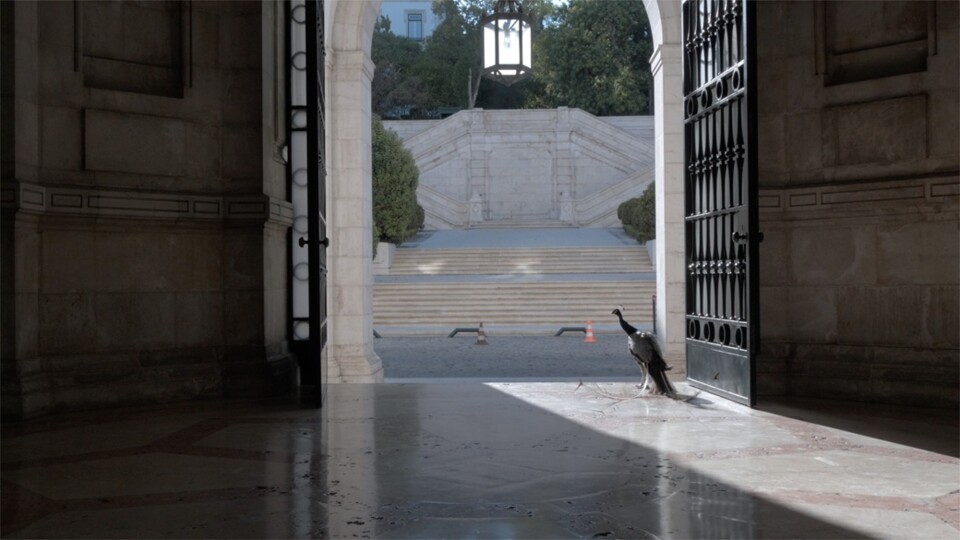 PALACIO_still_05 © O Palácio de Cidadãos.jpg