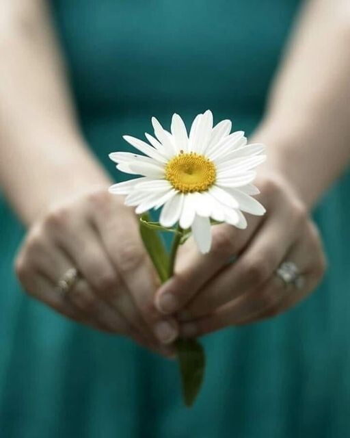 MUITO OBRIGADA 2022.jpg