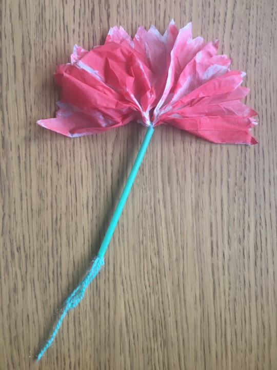 Cravo.jpeg Cravo.jpeg