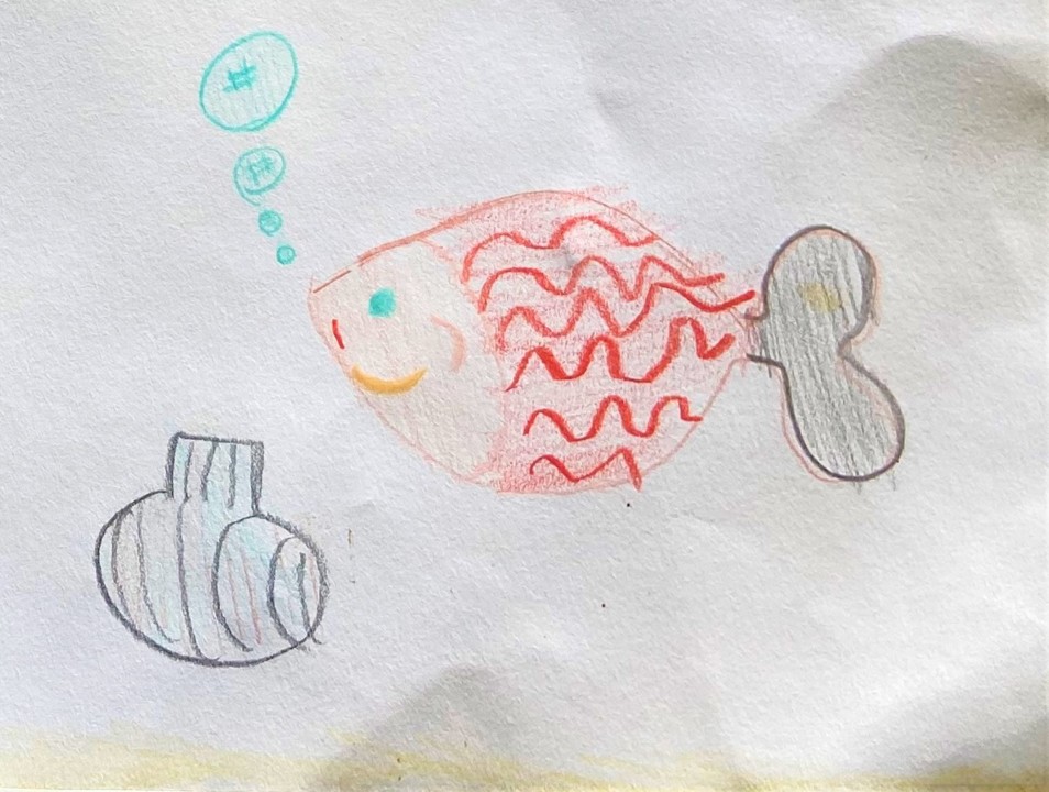 Alforreca-3.jpg Alforreca-3.jpg