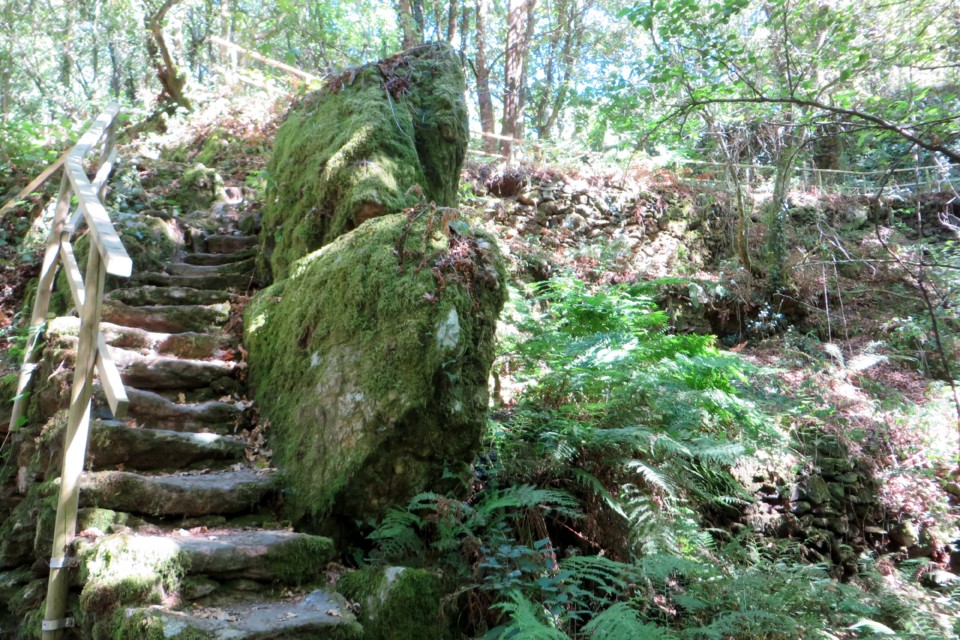 IMG_3138.JPG IMG_3138.JPG