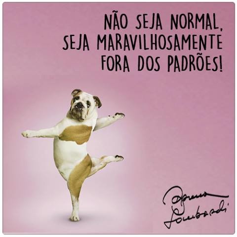 12074896_10206774957324478_5975694834772534317_n.j