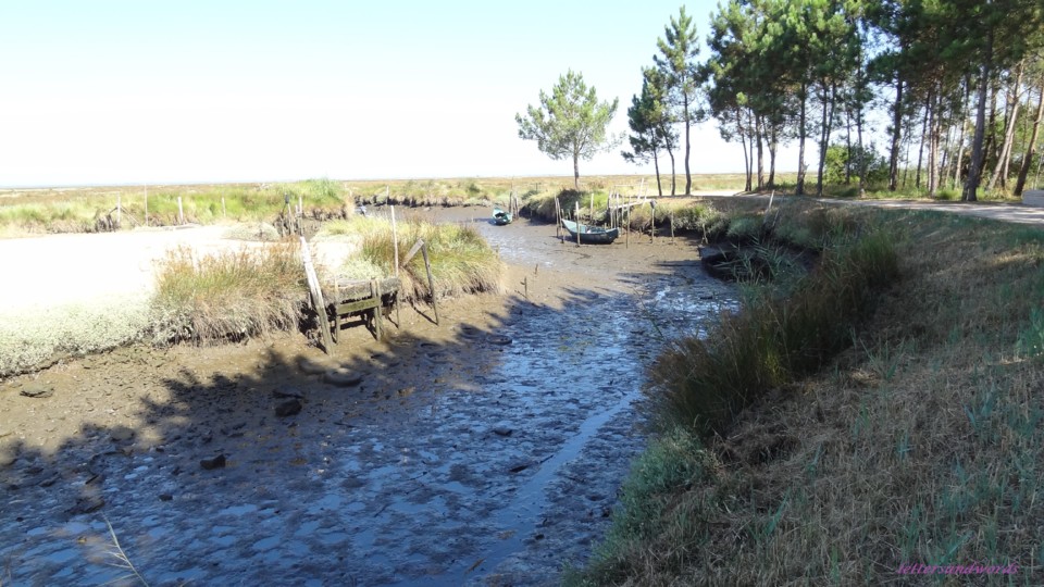 DSC07936.JPG DSC07936.JPG