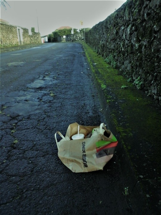 lixo_rua.jpg