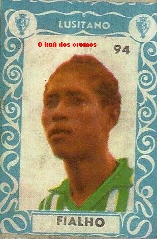 fialho-Lusitano Évora.jpg