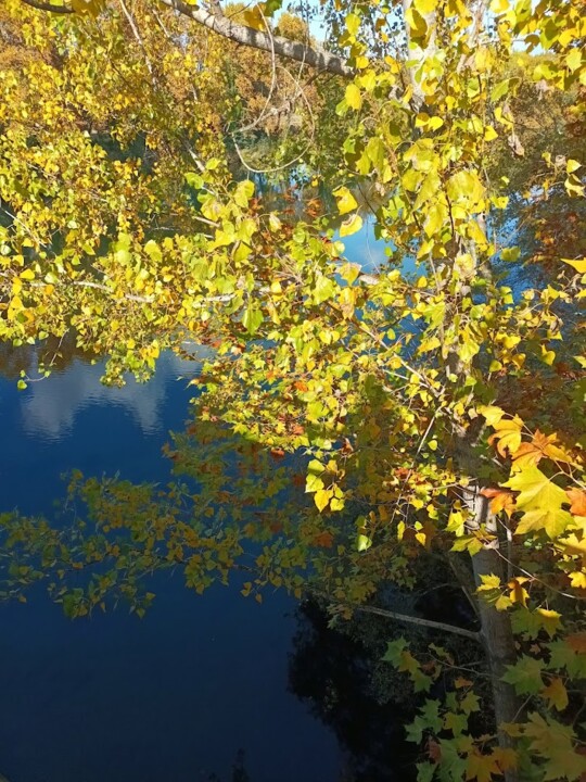 Não me canso disto Cavado.jpg