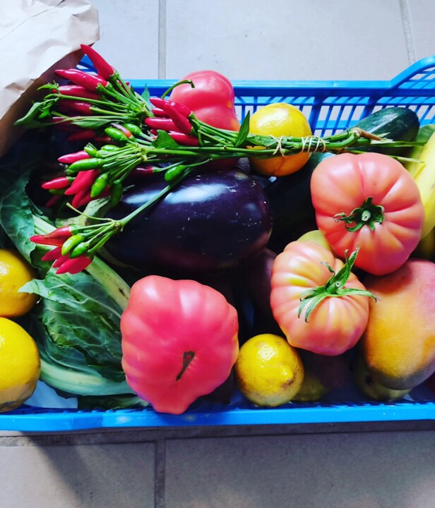 376288159_690592413098172_3095993420655072421_n.jp