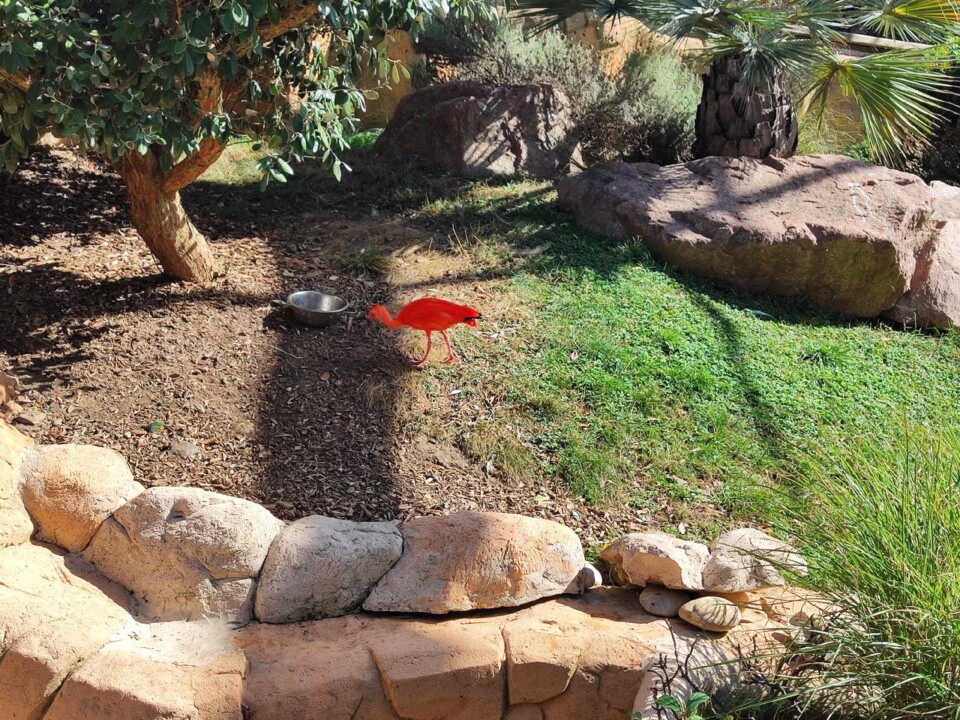 369328805_818893356381892_2700988897313286268_n.jp