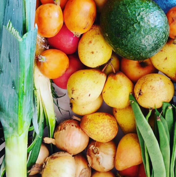 344463139_456992139970020_8174930210849005285_n.jp