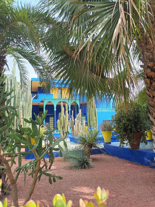 Não me canso disto_Jardim_a.jpg