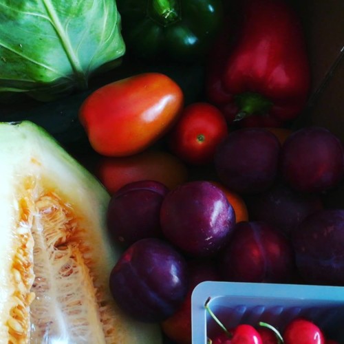 36287631_1126820957457664_5265390700987416576_n.jp