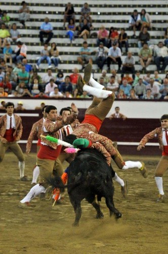 Ajuda vistosa de Bruno Furtado a Décio Dias...