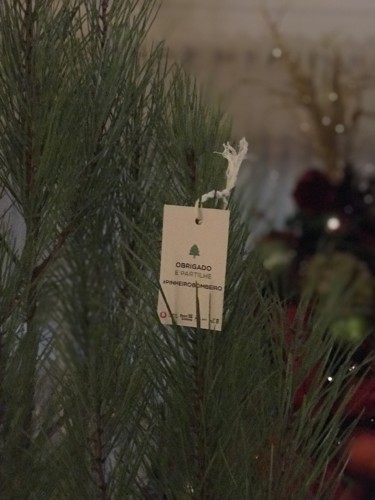 488A79B0-D5FD-4BD8-A677-2583D5CEEDEF.jpeg 488A79B0-D5FD-4BD8-A677-2583D5CEEDEF.jpeg