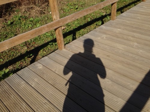 foto 2.JPG