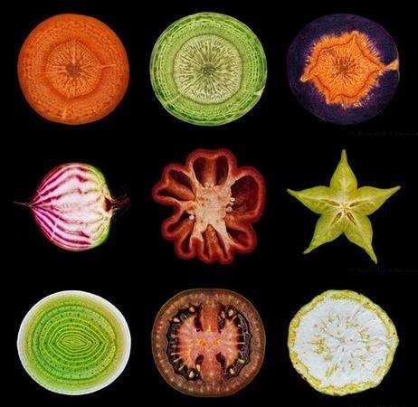 10393882_10153032397684400_5669378259701934001_n.j