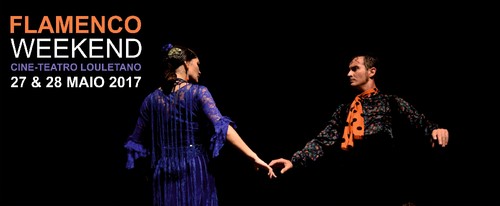 16112831_1310744948981564_5319064362276427181_o.jp