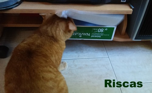 estragafolhas.jpg estragafolhas.jpg