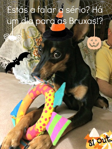 IMG_1252.JPG IMG_1252.JPG