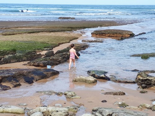 33626945_1992364507460428_6143143520774389760_n.jp 33626945_1992364507460428_6143143520774389760_n.jp