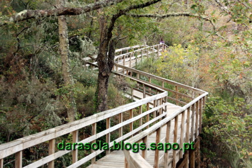 Passarelas_Rio_Mao_21.JPG Passarelas_Rio_Mao_21.JPG