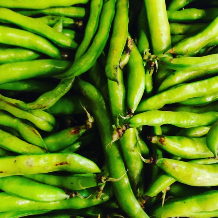 336532115_590894919647128_9212894005973540477_n.jp