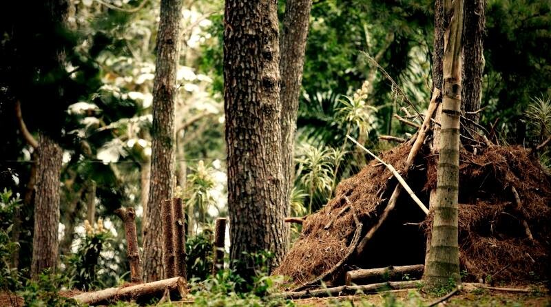esconderijos-cabanas-refugios-conexao-planeta-foto