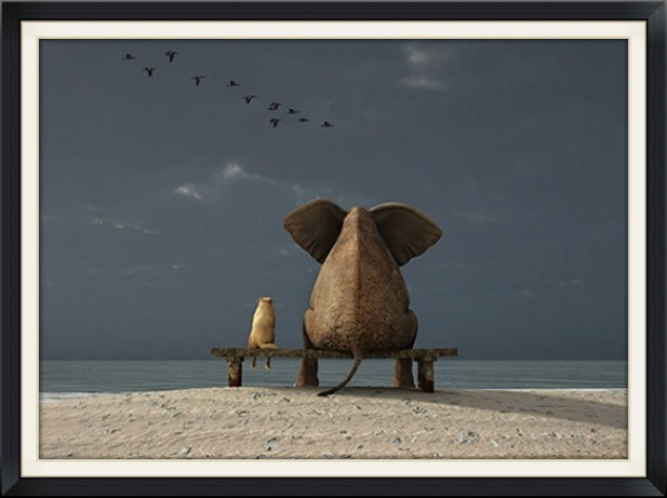 voce-nao-tem-que-fazer-nada.jpg voce-nao-tem-que-fazer-nada.jpg