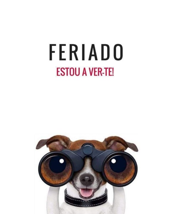 58745196_1574886105978857_5901803742134534144_n.jp