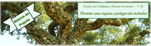 1-imagemr.png 1-imagemr.png