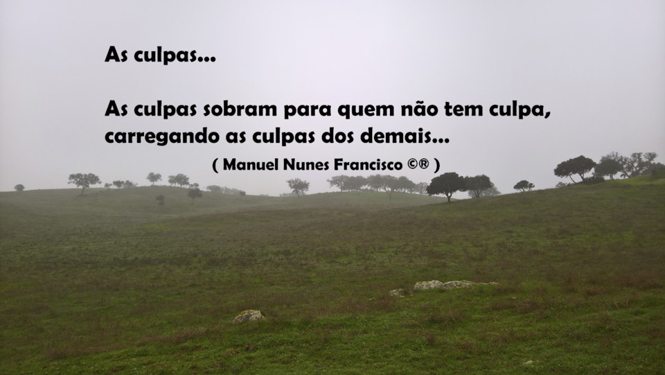 As culpas....jpg