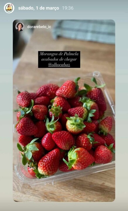 481373914_1796183034509941_9052038404446220149_n.j